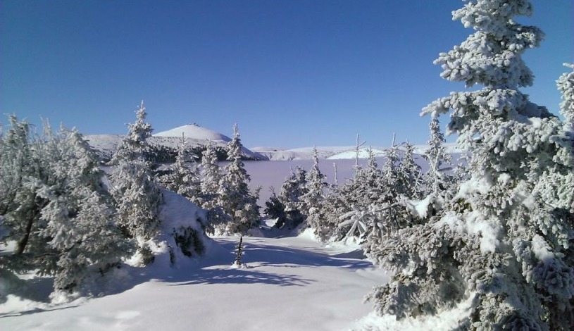 Hotel Arnika Janské Lázně